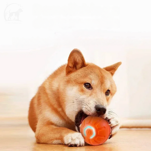 Interaktiver Kauball - Intelligenzspielzeug für Hunde und Katzen