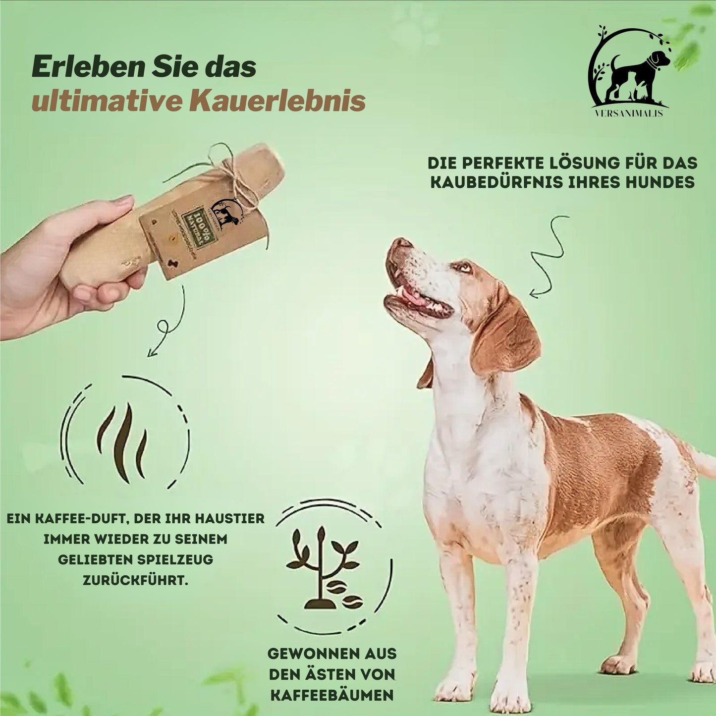 Holz-Kaustick für Hunde – Langlebiges, interaktives Kauspielzeug für alle Hunderassen!