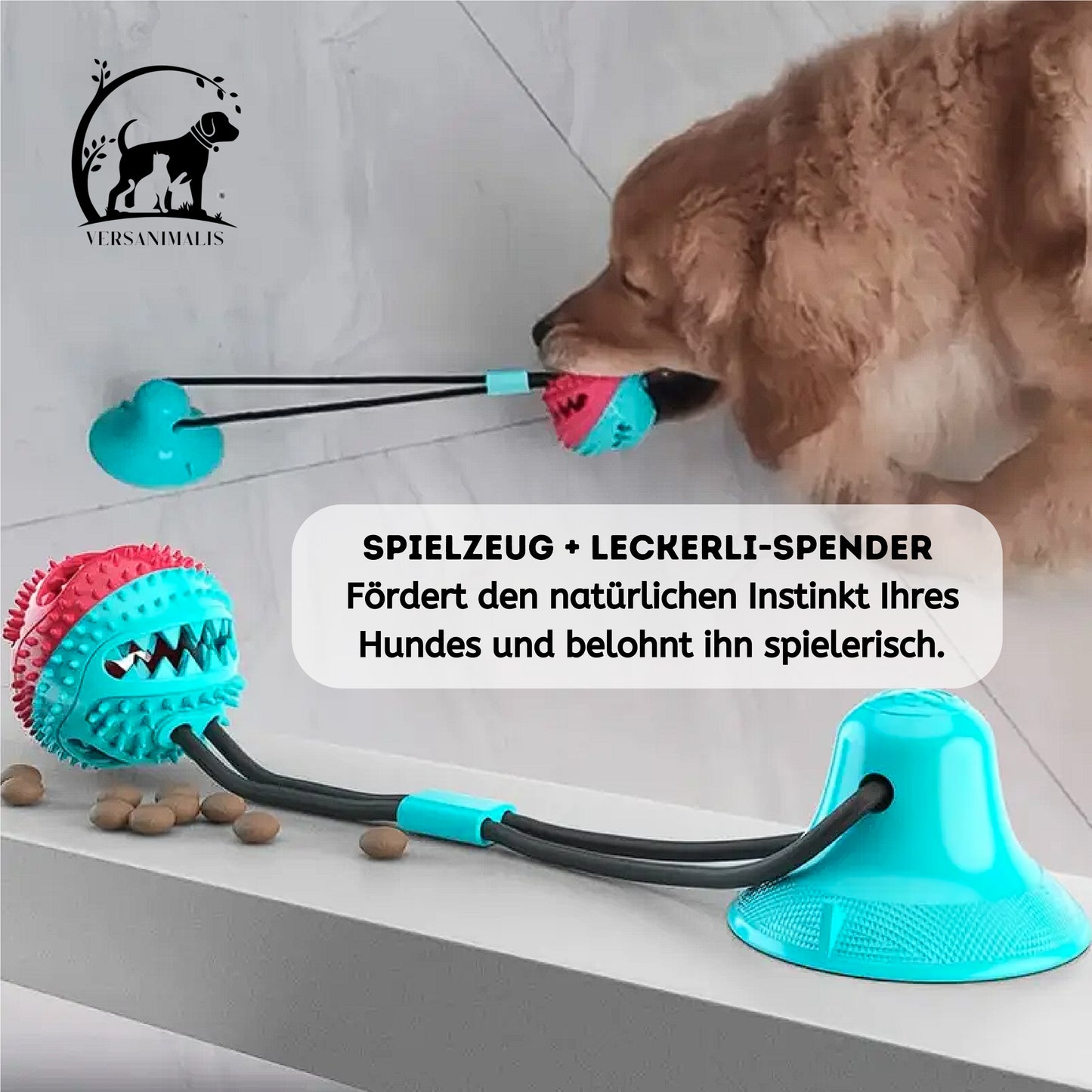 Interaktives Hundespielzeug mit Saugnapf – Spaß & Training in einem!