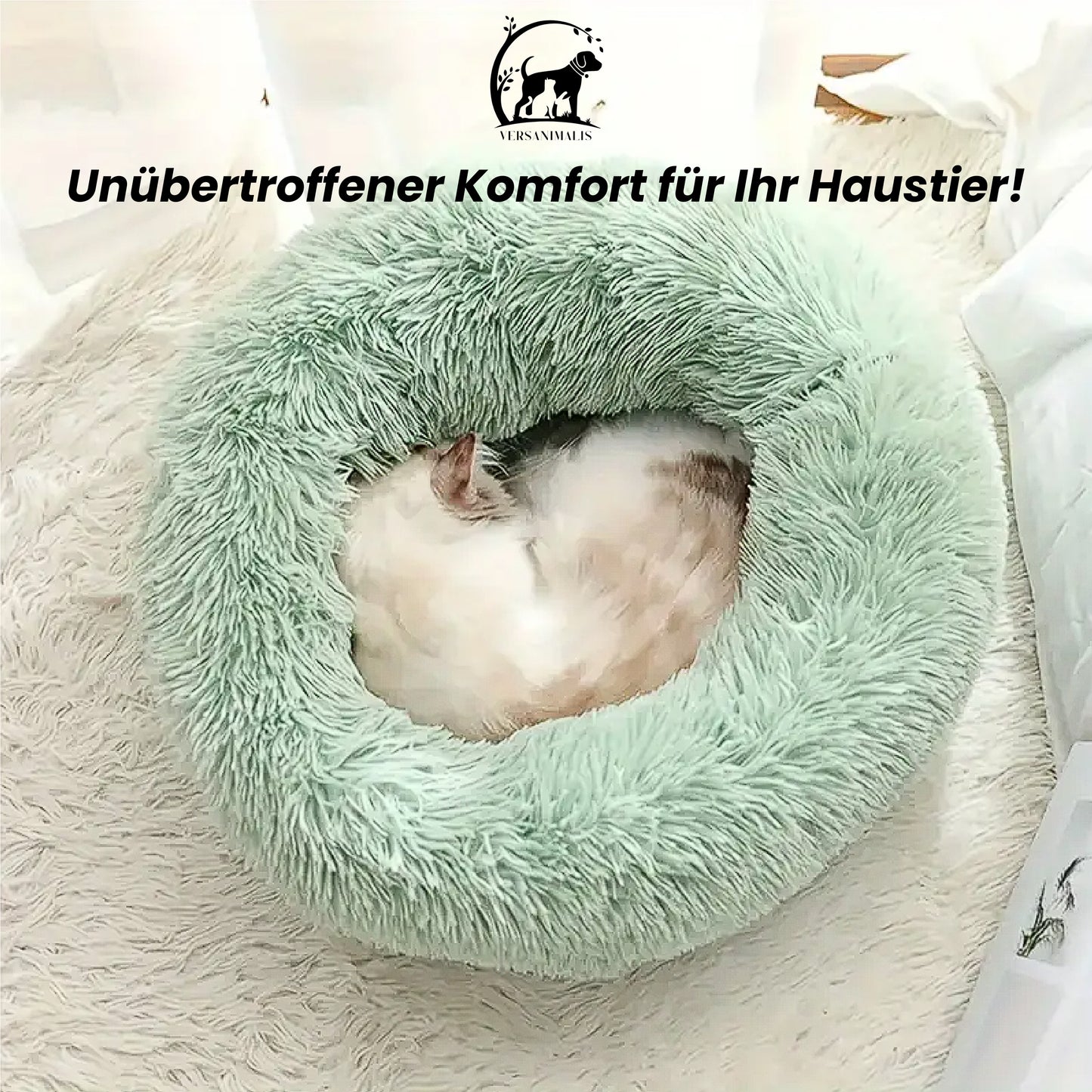 Rundes Plüschbett für Katzen – Kuscheliger Komfort & Stil für Ihre Katze!